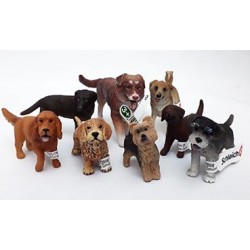 Lote perros 1
