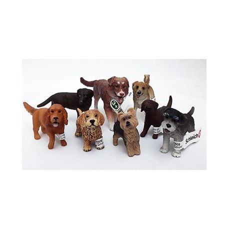 Lote perros 1