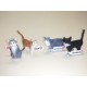 Lote gatos