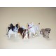 Lote perros 1