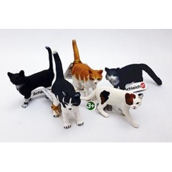 Lote gatos