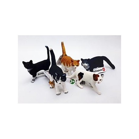 Lote gatos